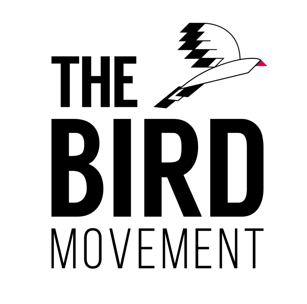 bird-movement